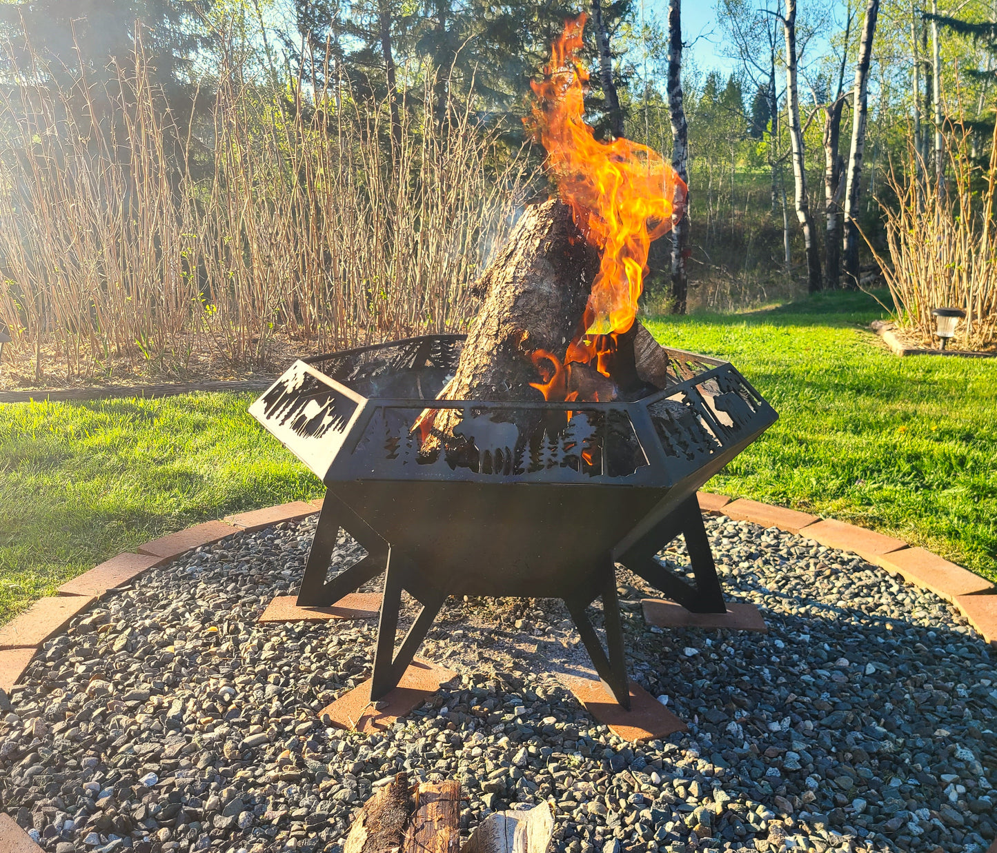 Hexagon Wildlife Firepit